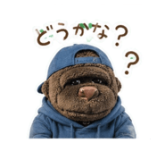 855697541