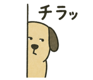 855697562