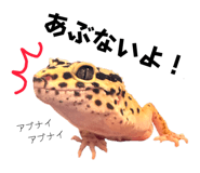 855697602