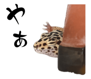 855697607