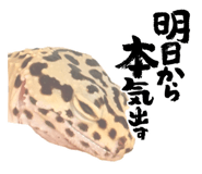 855697611