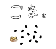 855697612