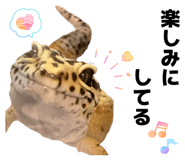 855697613