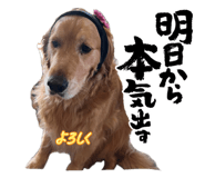 855697949