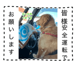 855697951