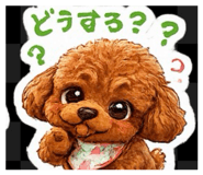 855698011