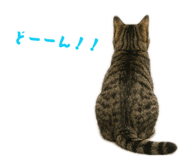 855698295