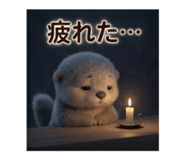 855698590