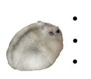 855698617