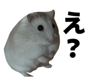 855698623