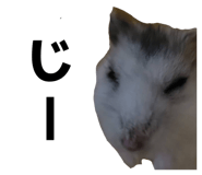 855698628