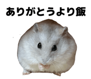 855698629