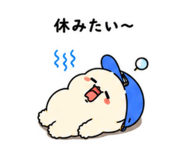 855699155
