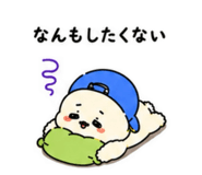 855699156
