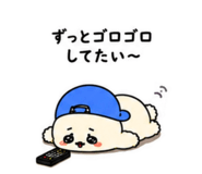 855699163