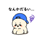 855699167