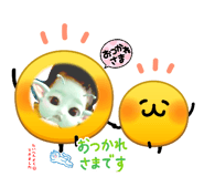 855699501