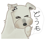 855699689