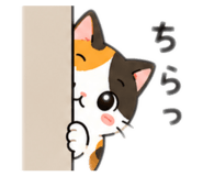 855699703