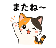 855699711
