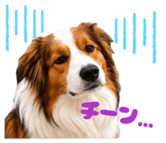 855699932