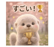 855699950