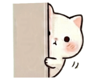855700013
