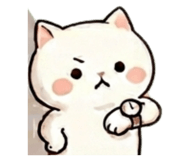 855700014