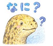 855700025