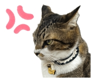 855700065
