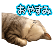 855700075