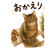 855700181