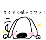 855700213