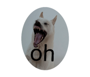 855701085