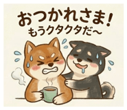 855701198