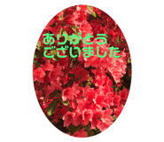 855702205