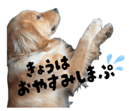 855703882