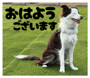 855703897
