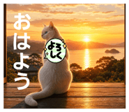 855704194
