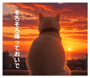 855704196