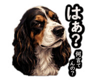855704347