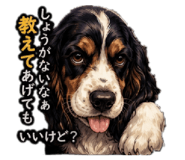 855704353