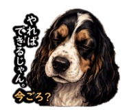 855704358
