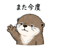 855704403