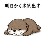 855704404