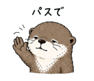855704406