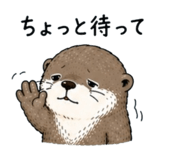 855704408
