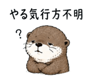 855704418