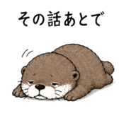855704422