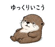 855704430